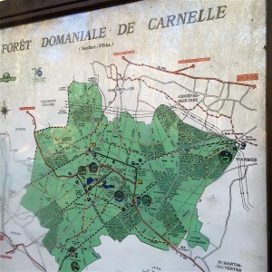 Plan forêt Carnelle