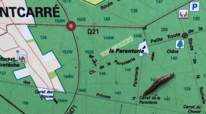 Grèves, crues, flotte, rando.. la soupe à la limace.