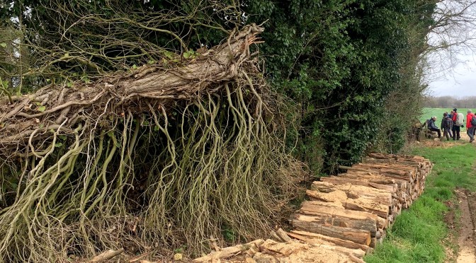 RATP, SNCF , les partenaires-aventure de mes rando-parigot