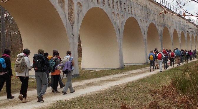 Rando culture et nature au château de Fontainebleau