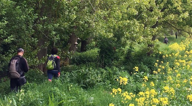 Rando aux marais des basses vallées de l&rsquo;Essonne (91) – 22 km
