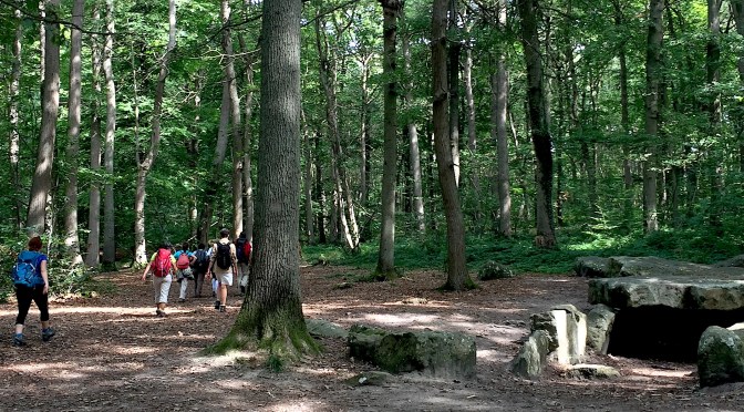 32 km de randonnée intense : De l&rsquo;Isle Adam à Luzarches