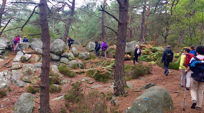 Rando on the rocks  de Fontainebleau à Bois-Le-Roi