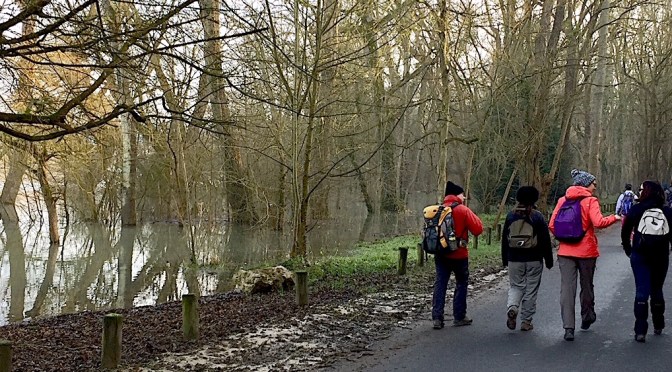 Randonneurs en Seine et Marne : Un Voyage Étonnant