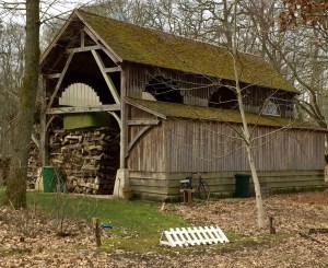 jolie grande dans les Yvelines