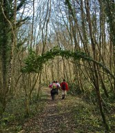 randonnée Seine-et-Marne- Forêt de Nemours