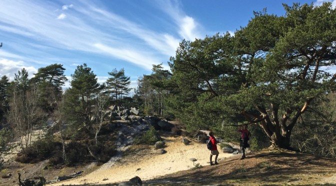 Idée rando de gare à gare : Bois-Le-Roi – Barbizon – Fontainebleau/Avon