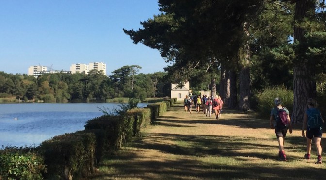 Randonnée de 34 km dans la forêt de Port Royal