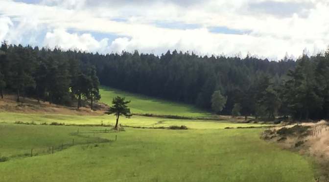 Conseils itinérance : planifiez votre Chemin de Stevenson