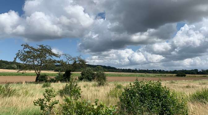 Balade en Yvelines : découverte des villages et paysages