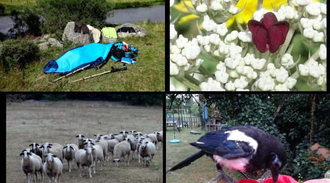 Bivouaquer sur les chemins de Compostelle, entre choix et improvisation.