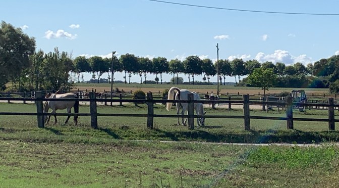 Idée rando : de Chevreuse au Perray en Yvelines-  24 km