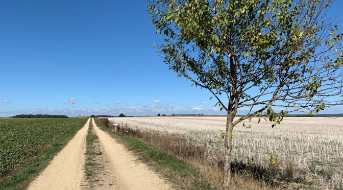 Rando du Vexin, 22 km dans les pas de Jules César, de Boissy à Chars.