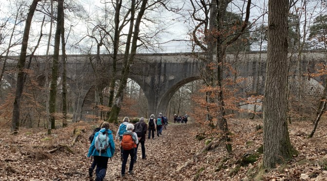 Les meilleurs itinéraires de randonnée en Forêt de Fontainebleau