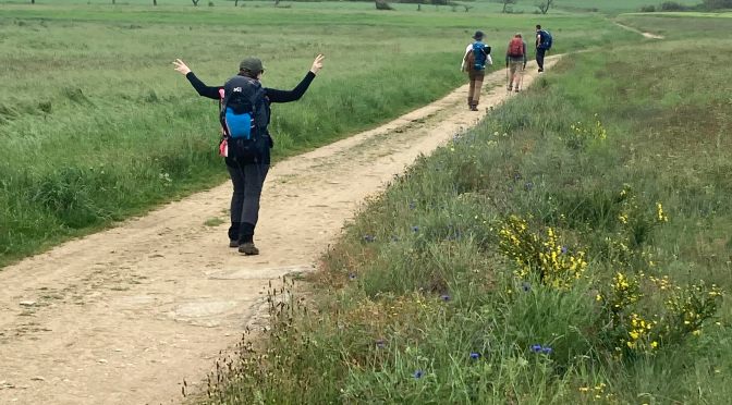 COLINA : « la randonnée itinérante pour dépasser les troubles psy»