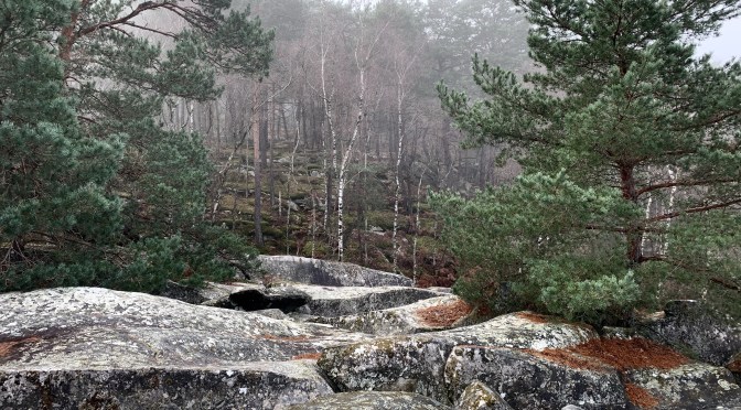 Fontainebleau, rando à servir on the rocks