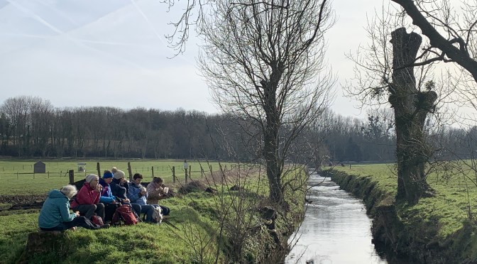 Rando Yvelines , il vaut mieux sortir de St Cyr !